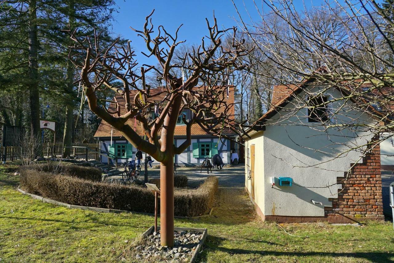 Apartment 4 - Gourmetzimmer Bestensee Экстерьер фото